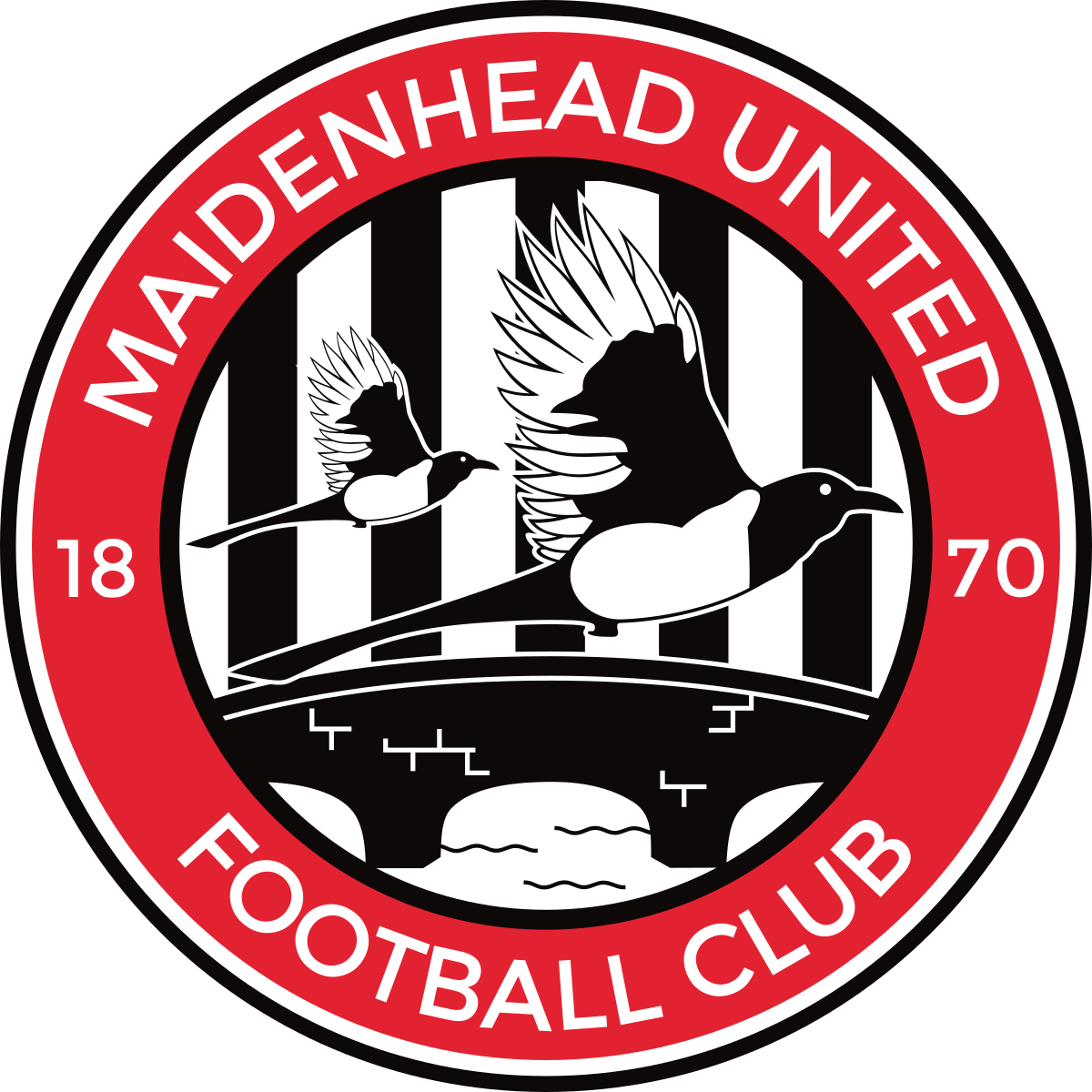 LONDON BEES vs MAIDENHEAD UNITED FC