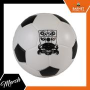 BFC Stress Football Photo