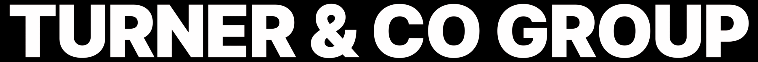 Turner & Co Group Logo